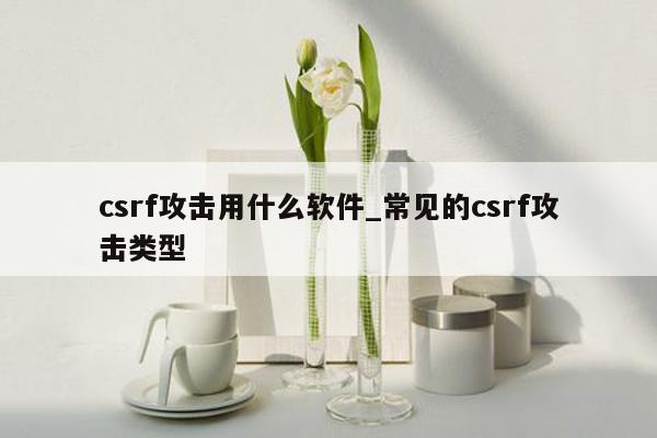 csrf攻击用什么软件_常见的csrf攻击类型