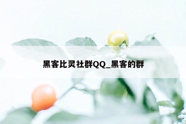 黑客比灵社群QQ_黑客的群