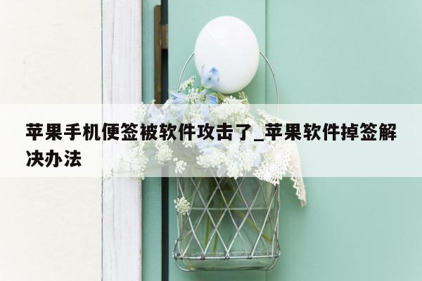 苹果手机便签被软件攻击了_苹果软件掉签解决办法