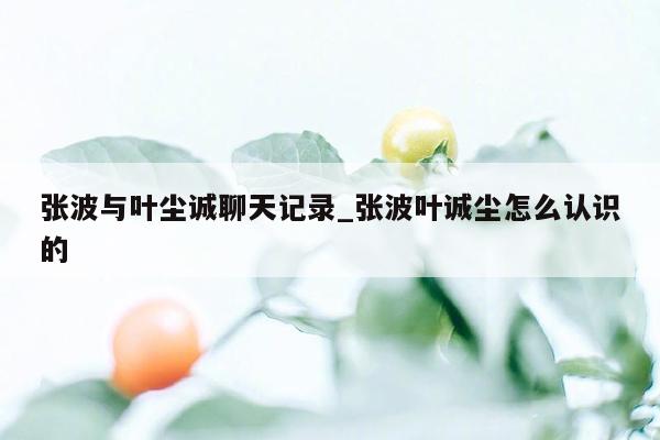 张波与叶尘诚聊天记录_张波叶诚尘怎么认识的