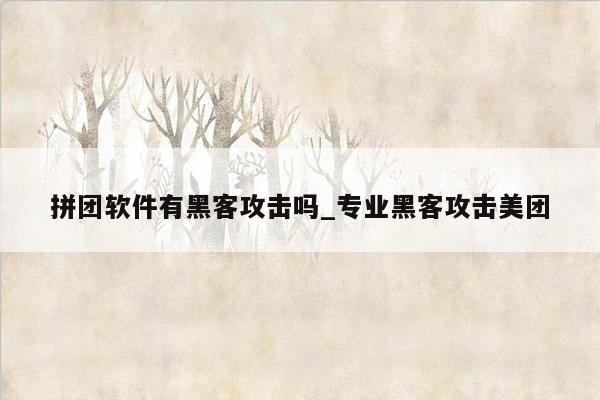 拼团软件有黑客攻击吗_专业黑客攻击美团