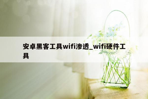 安卓黑客工具wifi渗透_wifi硬件工具