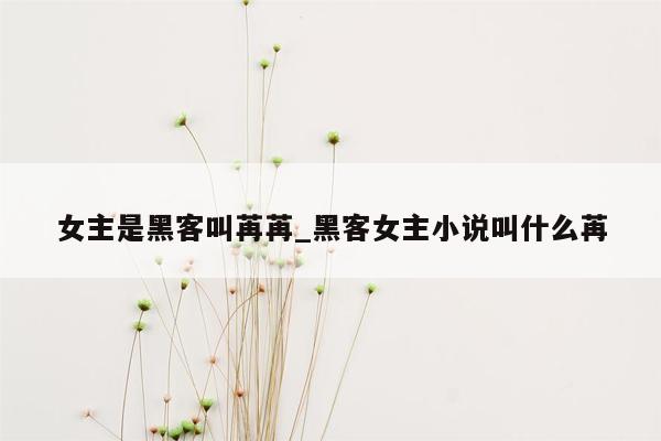 女主是黑客叫苒苒_黑客女主小说叫什么苒