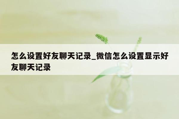 怎么设置好友聊天记录_微信怎么设置显示好友聊天记录