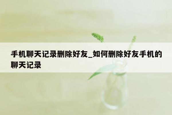 手机聊天记录删除好友_如何删除好友手机的聊天记录