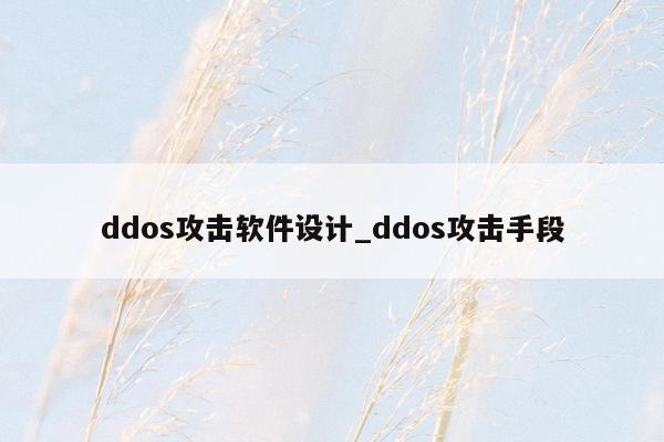 ddos攻击软件设计_ddos攻击手段