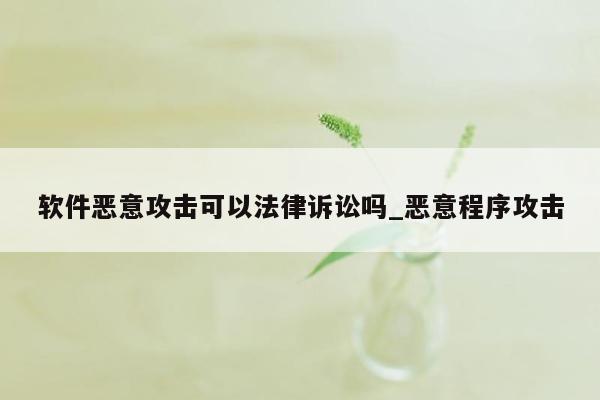 软件恶意攻击可以法律诉讼吗_恶意程序攻击