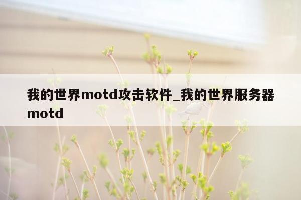 我的世界motd攻击软件_我的世界服务器motd