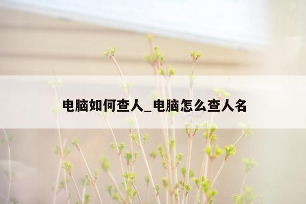 电脑如何查人_电脑怎么查人名