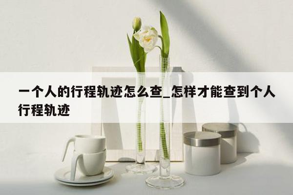 一个人的行程轨迹怎么查_怎样才能查到个人行程轨迹