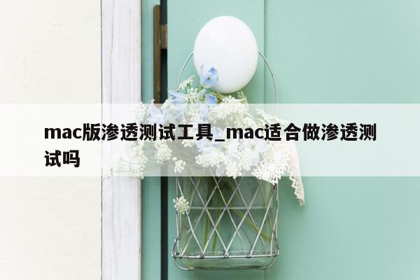 mac版渗透测试工具_mac适合做渗透测试吗