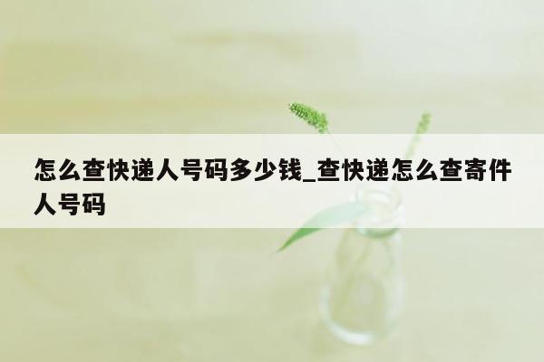 怎么查快递人号码多少钱_查快递怎么查寄件人号码