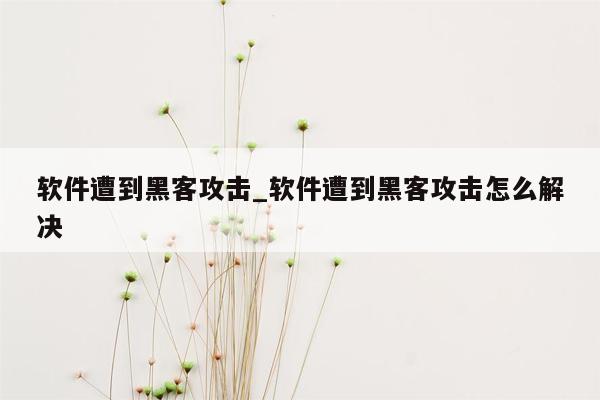 软件遭到黑客攻击_软件遭到黑客攻击怎么解决