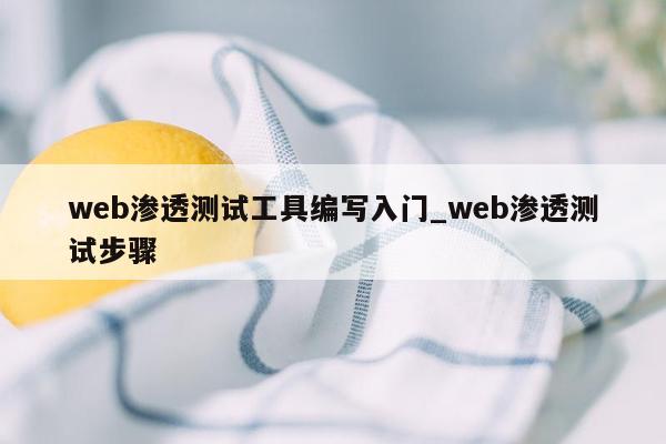 web渗透测试工具编写入门_web渗透测试步骤