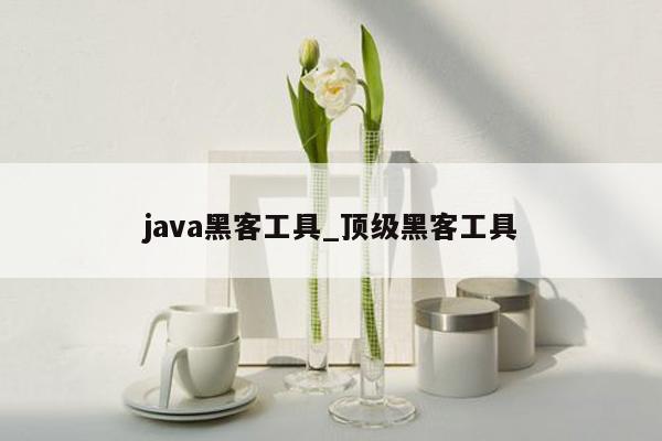 java黑客工具_顶级黑客工具