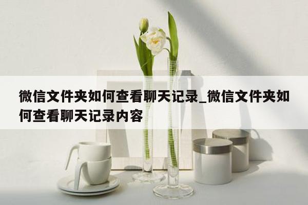 微信文件夹如何查看聊天记录_微信文件夹如何查看聊天记录内容