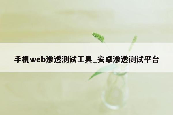 手机web渗透测试工具_安卓渗透测试平台