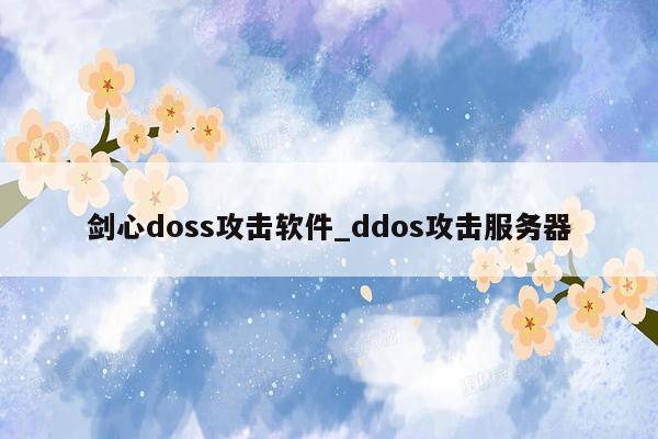 剑心doss攻击软件_ddos攻击服务器