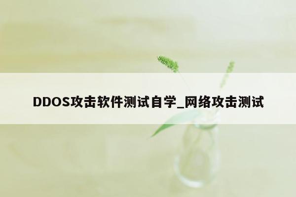 DDOS攻击软件测试自学_网络攻击测试