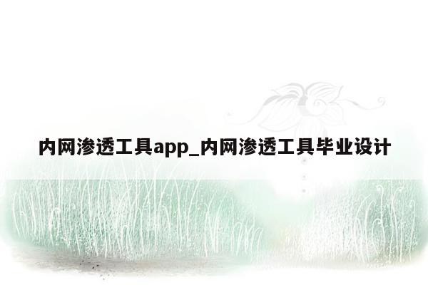 内网渗透工具app_内网渗透工具毕业设计