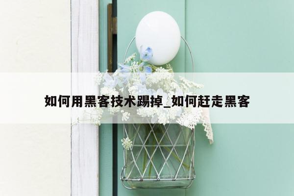 如何用黑客技术踢掉_如何赶走黑客