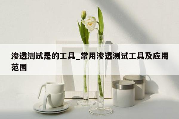 渗透测试是的工具_常用渗透测试工具及应用范围