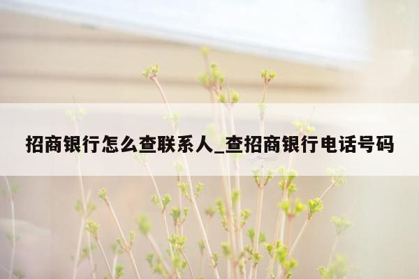 招商银行怎么查联系人_查招商银行电话号码