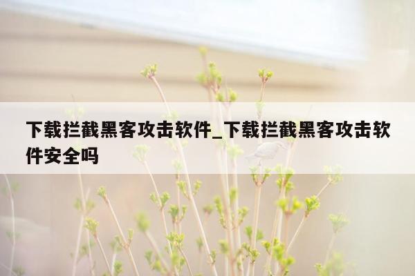 下载拦截黑客攻击软件_下载拦截黑客攻击软件安全吗