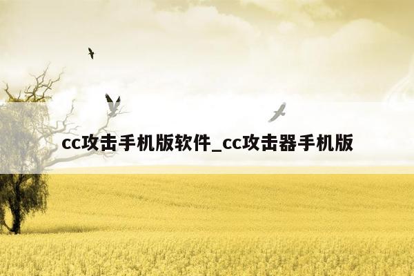 cc攻击手机版软件_cc攻击器手机版