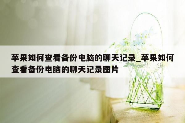 苹果如何查看备份电脑的聊天记录_苹果如何查看备份电脑的聊天记录图片