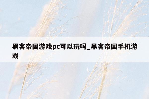 黑客帝国游戏pc可以玩吗_黑客帝国手机游戏