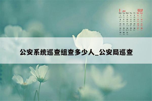 公安系统巡查组查多少人_公安局巡查