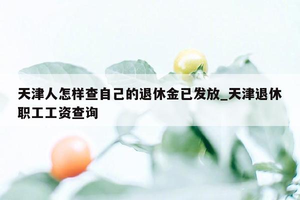 天津人怎样查自己的退休金已发放_天津退休职工工资查询