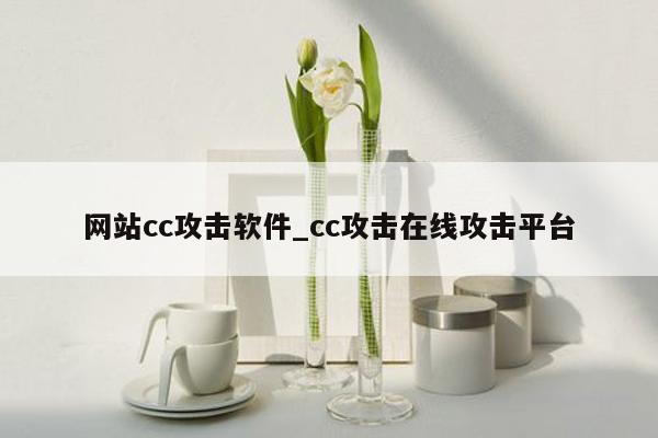 网站cc攻击软件_cc攻击在线攻击平台