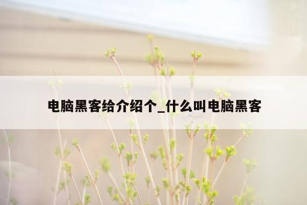 电脑黑客给介绍个_什么叫电脑黑客