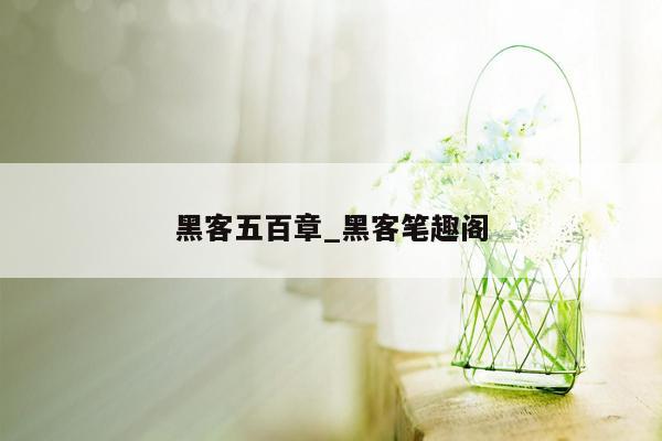 黑客五百章_黑客笔趣阁