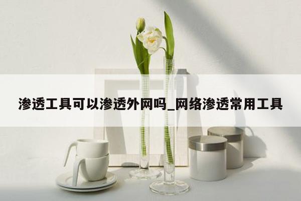 渗透工具可以渗透外网吗_网络渗透常用工具