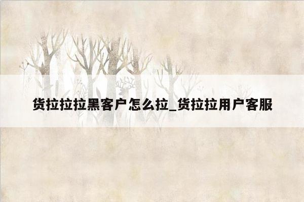 货拉拉拉黑客户怎么拉_货拉拉用户客服