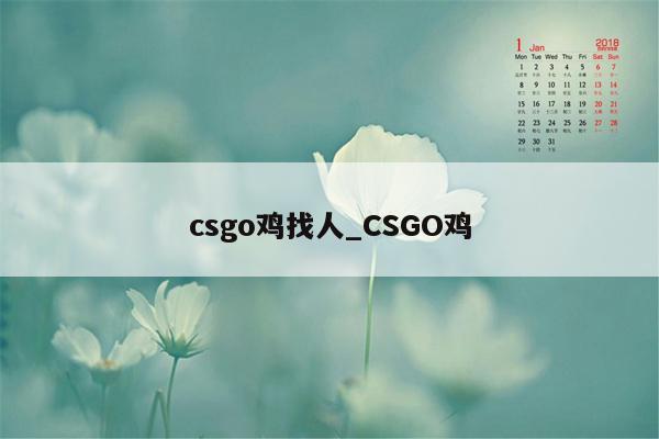 csgo鸡找人_CSGO鸡