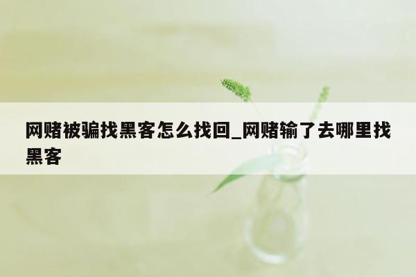 网赌被骗找黑客怎么找回_网赌输了去哪里找黑客