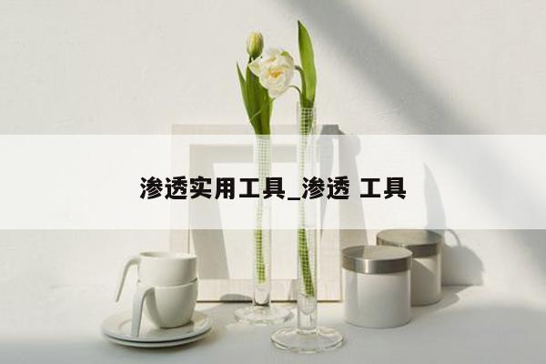 渗透实用工具_渗透 工具