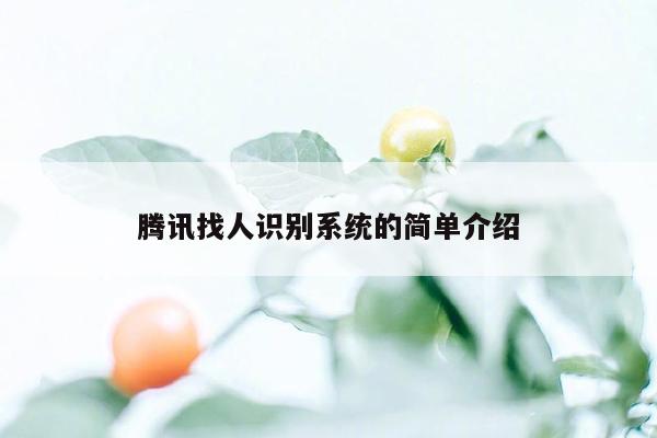 腾讯找人识别系统的简单介绍