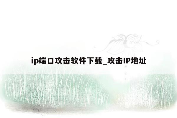 ip端口攻击软件下载_攻击IP地址