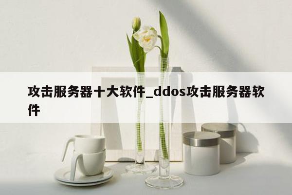 攻击服务器十大软件_ddos攻击服务器软件