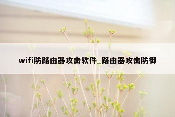 wifi防路由器攻击软件_路由器攻击防御