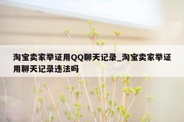 淘宝卖家举证用QQ聊天记录_淘宝卖家举证用聊天记录违法吗