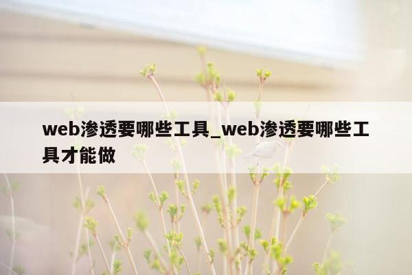 web渗透要哪些工具_web渗透要哪些工具才能做