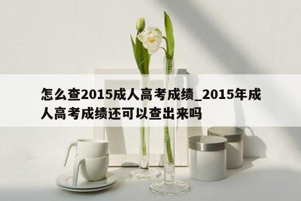 怎么查2015成人高考成绩_2015年成人高考成绩还可以查出来吗