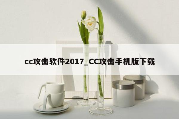 cc攻击软件2017_CC攻击手机版下载