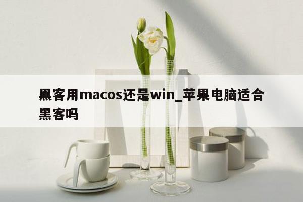 黑客用macos还是win_苹果电脑适合黑客吗